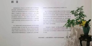 身有余闲，物尽清欢—— “器•像”卫恩青瓷生活美学展在京开展