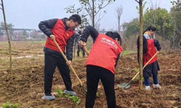 兰溪平安产险：植绿九畹兰花基地，共绘乡村振兴蓝图